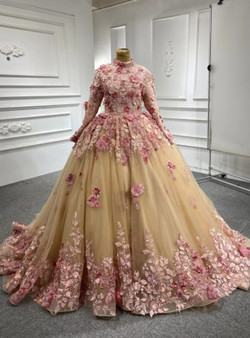 Champagne Tulle Pink Appliques Long Sleeve Prom Dress