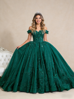 Green Ball Gown Tulle Sequins Appliques Prom Dress