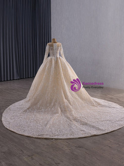 Champagne Tulle Sequins Long Sleeve Wedding Dress