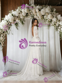 White V-neck Lace Long Sleeve Wedding Dress