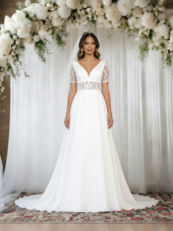 White V-neck Short Sleeve Lace Wedding Dress