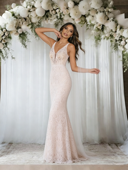 Champagne Mermaid Lace V-neck Wedding Dress