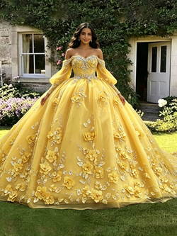 Yellow Tulle Appliques Long Sleeve Quinceanera Dress
