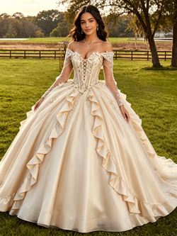 Champagne Tulle Long Sleeve 3D Flower Quinceanera Dress