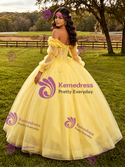Yellow Tulle Appliques Long Sleeve Quinceanera Dress