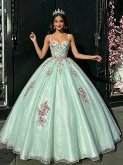 Green Tulle Spaghetti Straps Appliques Quinceanera Dress