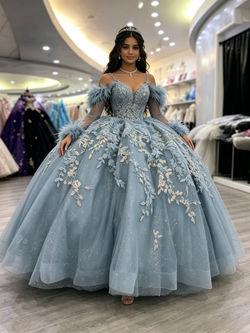 Blue Tulle Straps Appliques Long Sleeve Quinceanera Dress