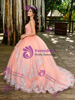 Orange Tulle Appliques Straps Prom Dress