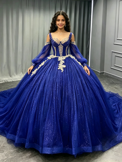 Blue Tulle Long Sleeve Appliques Quinceanera Dress