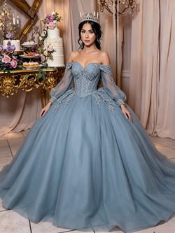 Blue Tulle Long Sleeve Appliques Quinceanera Dress