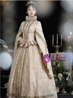Champagne High Neck Long Sleeve Vintage Dress