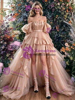 Champagne Hi Lo Tulle Pleats Prom Dress