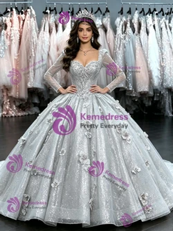Silver Long Sleeve Appliques Quinceanera Dress