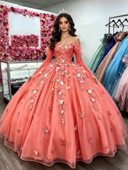 Long Sleeve Tulle Appliques Quinceanera Dress