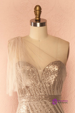 Champagne Long Sheath Evening Dresses One Shoulder Sequins Tulle Women