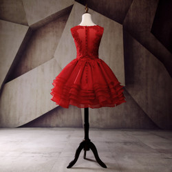 Short Homecoming Dress Organza Homecoming Dress Lace Homecoming Dress