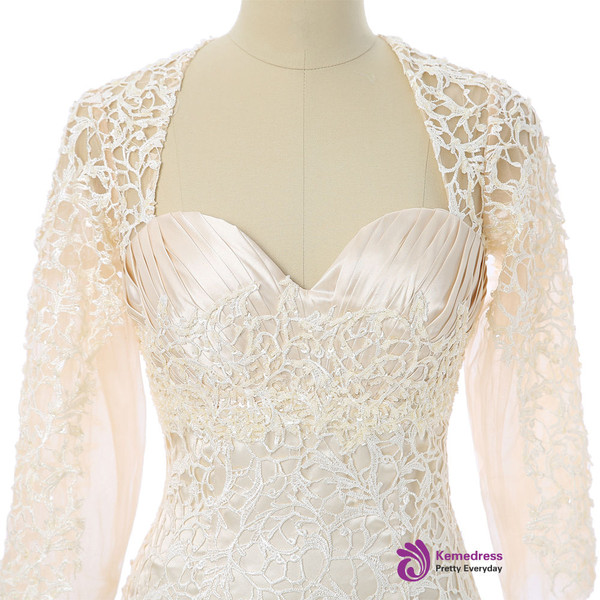 Champagne 2017 Mother Of The Bride Dresses Mermaid Long Sleeves