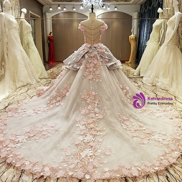 Gray Ball Gown Tulle Appliques Beading Long Train Wedding Dress