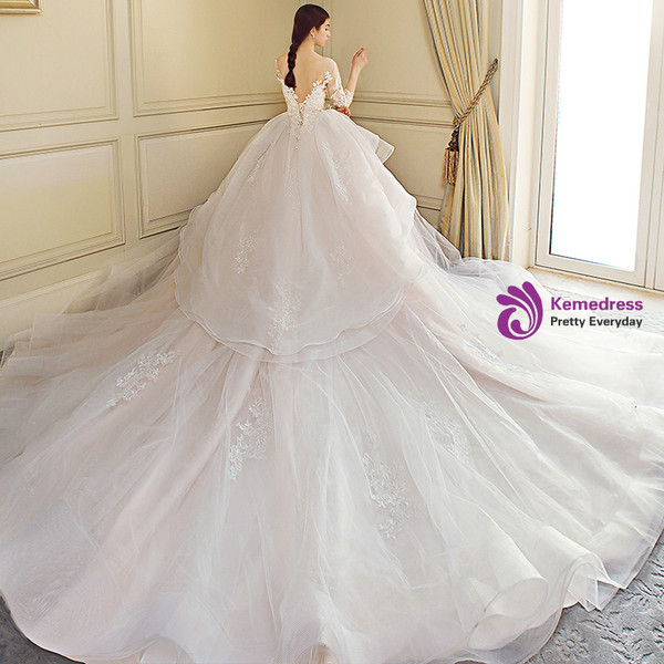 Ball Gown Long Sleeve Backless Tulle Train Wedding Dress