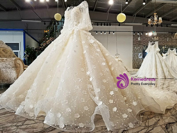 White Ball Gown Long Sleeve Backless Tulle Appliques Wedding Dress