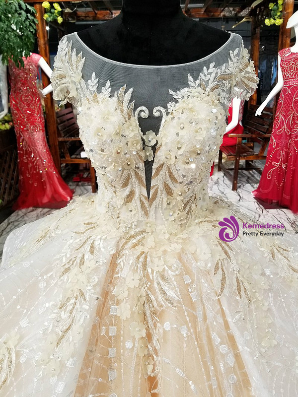 Luxury Champagne Ball Gown Tulle Appliques Wedding Dress