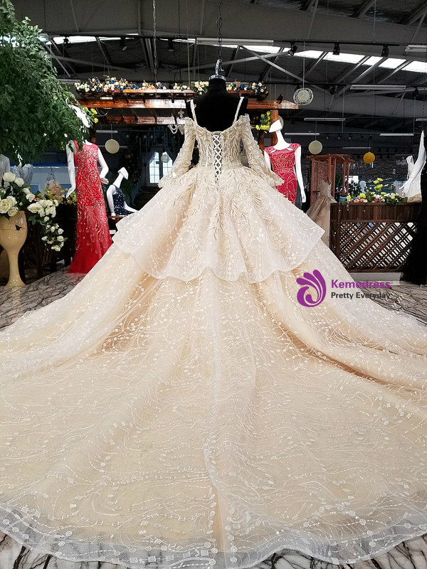 Luxury Champagne Ball Gown Long Sleeve Tulle Appliques Wedding Dress
