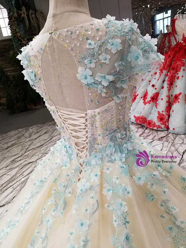 Ball Gown Cap Sleeve Backless Tulle Appliques Haute Couture Wedding Dresses