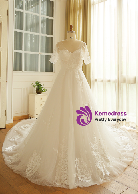 Plus Size A-Line V-neck White Tulle Train Wedding Dress