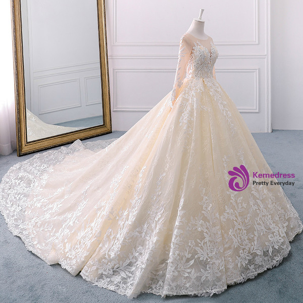 Champagne Tulle Appliques Long Sleeve Beading Wedding Dress