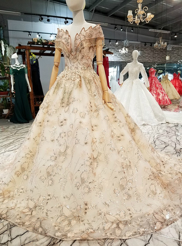 Ball Gown Tulle Appliques Beading Backless Train Wedding Dress