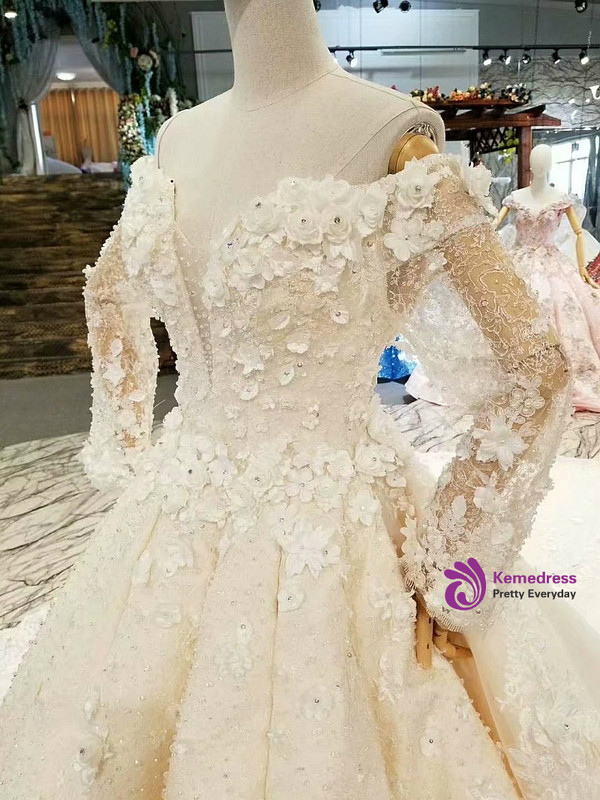 Ball Gown Long Sleeve Off The Shoulder Backless Appliques Wedding Dress