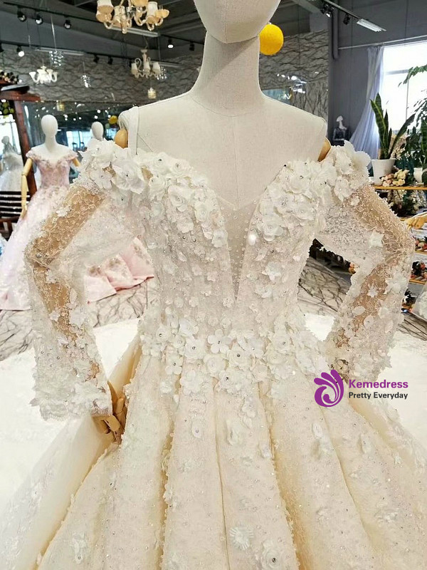 Ball Gown Long Sleeve Off The Shoulder Backless Appliques Wedding Dress