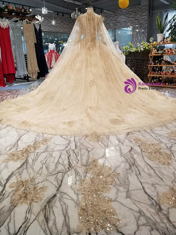 Champagne Ball Gown Long Sleeve Sequins Appliques Wedding Dress