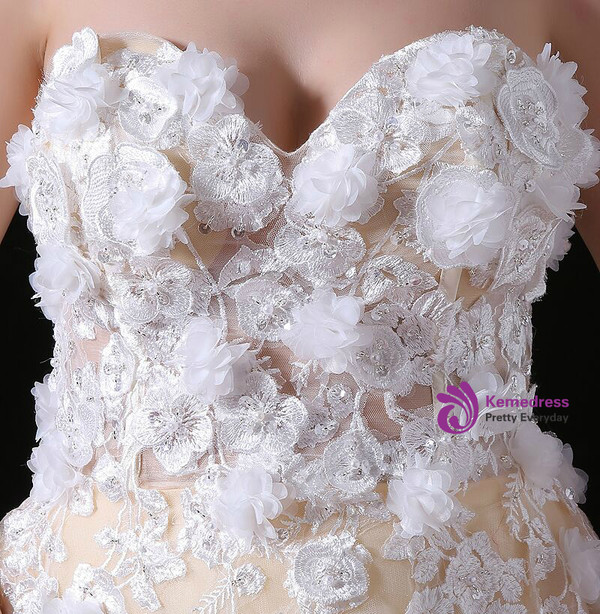 Champagne Tulle Sweetheart Neck Appliques Long Wedding Dress