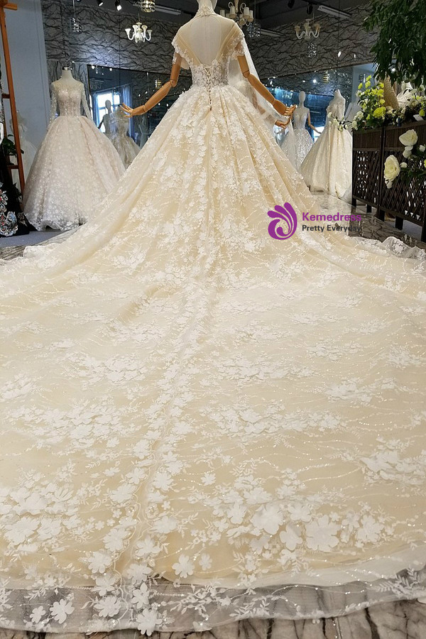 Luxury Champagne Ball Gown Appliques Backless With Sequins Wedding Dress