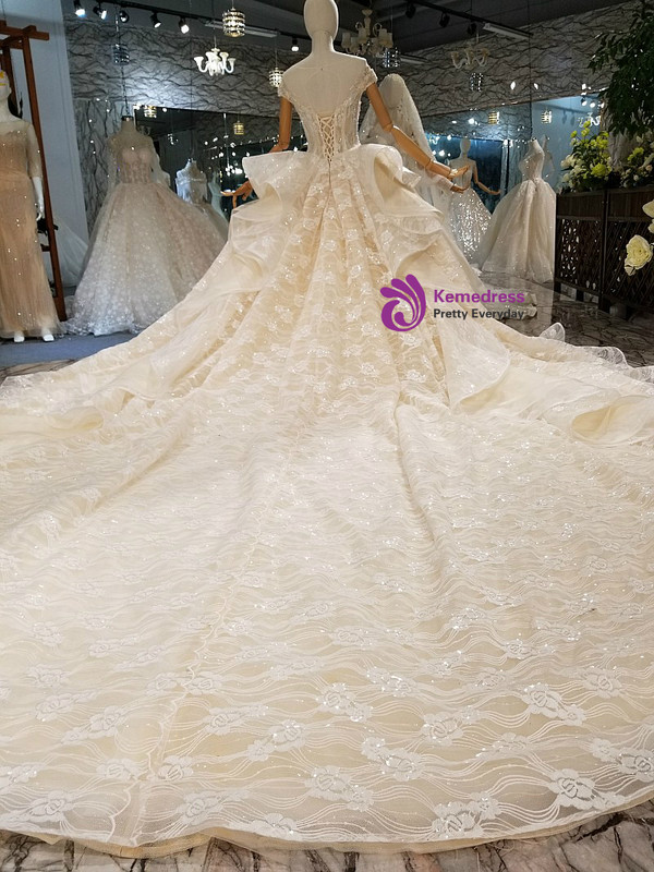 Champagne Tulle Lace Sequins Backless Long Train Wedding Dress