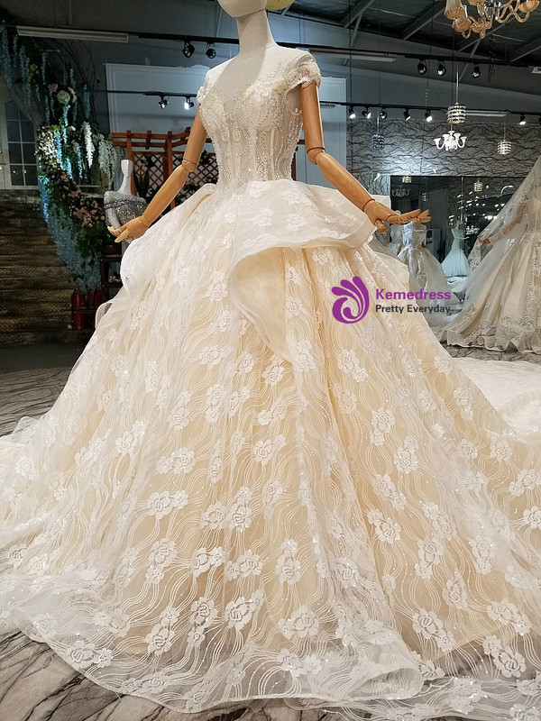 Champagne Tulle Lace Sequins Backless Long Train Wedding Dress