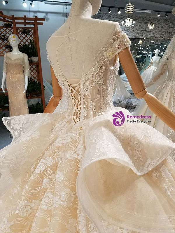 Champagne Tulle Lace Sequins Backless Long Train Wedding Dress