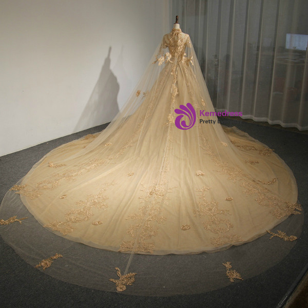 Champagne Tulle Embroidery Short Sleeve Backless Haute Couture Wedding Dress