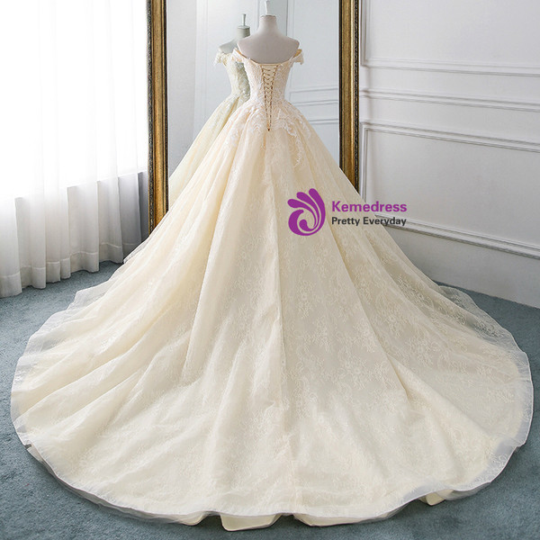 Champagne Ball Gown Tulle Lace Appliques Wedding Dress With Train