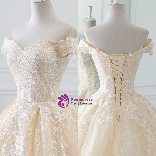 Champagne Ball Gown Tulle Lace Appliques Wedding Dress With Train