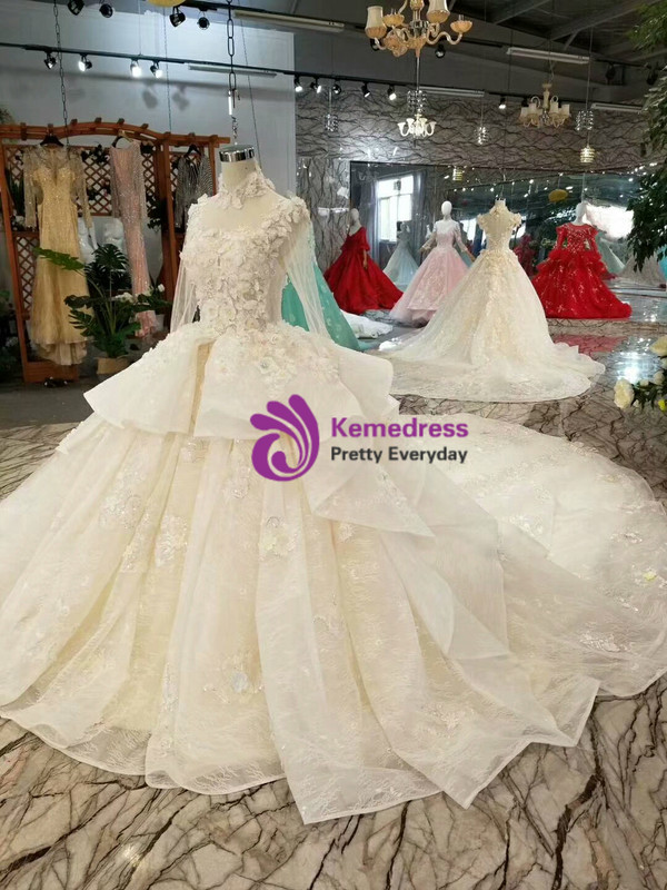 Champagne Tulle High Neck Long Sleeve Backless Appliques Wedding Dress