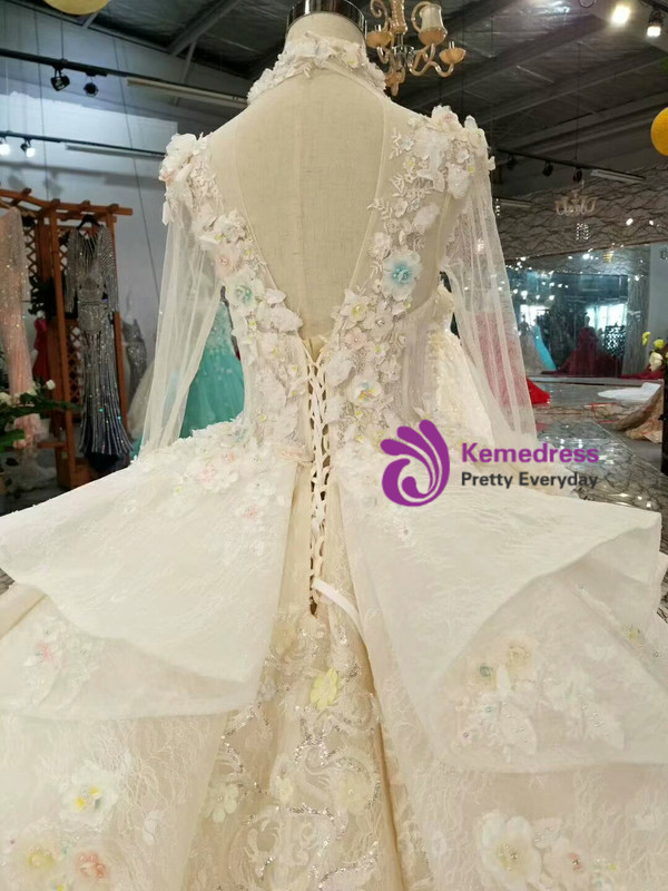 Champagne Tulle High Neck Long Sleeve Backless Appliques Wedding Dress