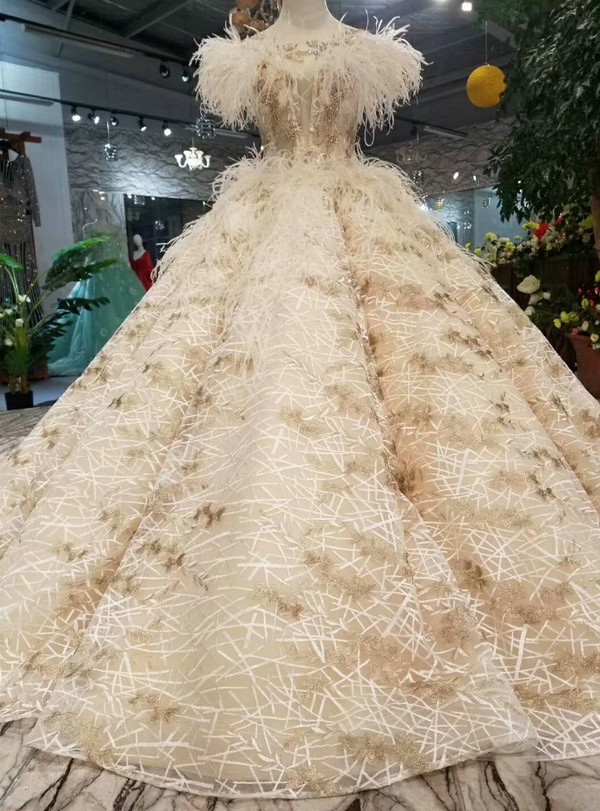 Champagne Lace Ball Gown Deep V-neck Backless Wedding Dress With Train