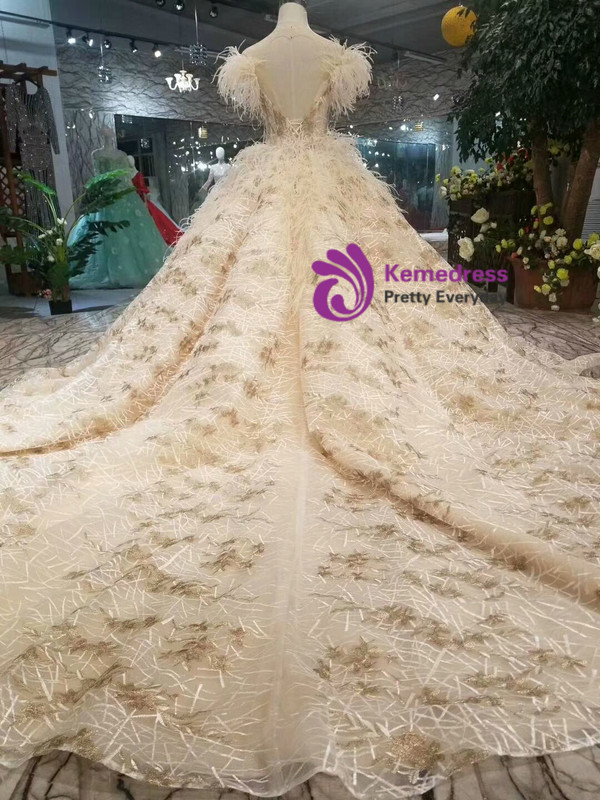 Champagne Lace Ball Gown Deep V-neck Backless Wedding Dress With Train