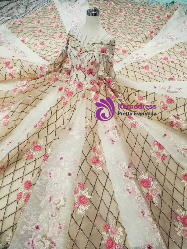 Champagne Sequins Long Sleeve Embroidery Appliques Wedding Dress With Beading