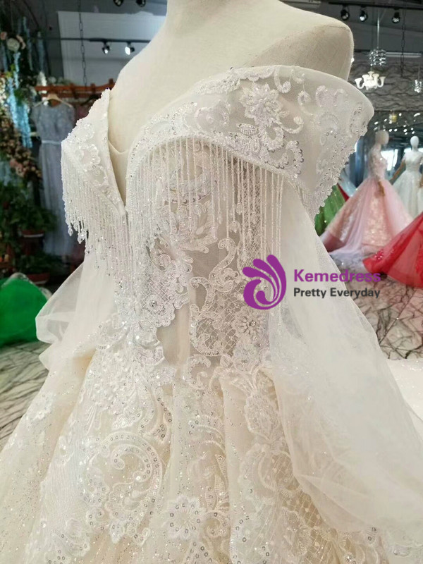 Light Champagne Sequins Appliques Long Sleeve off The Shoulder Wedding Dress With Long Train