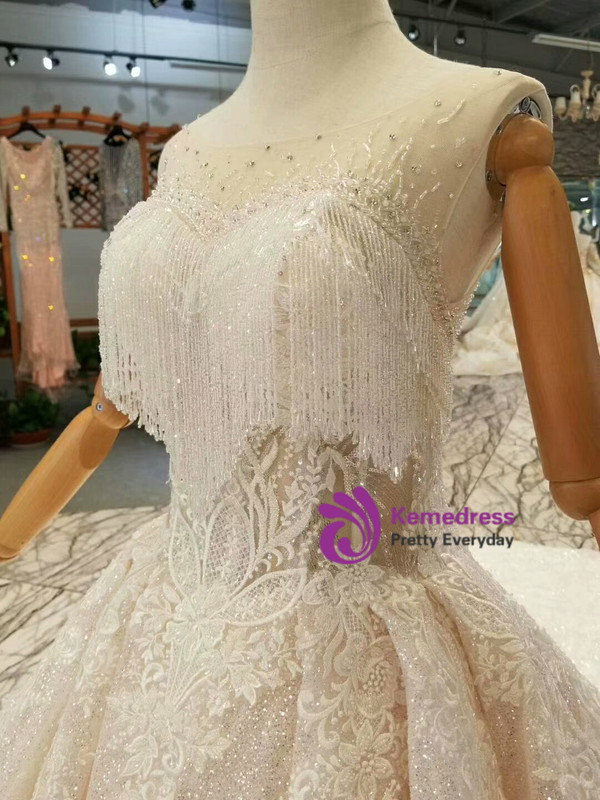 Champagne Tulle Sequins Bateau Backless Appliques Wedding Dress