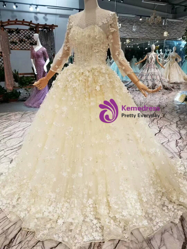 Light Champagne Tulle Appliques Long Sleeve Floor Length Wedding Dress