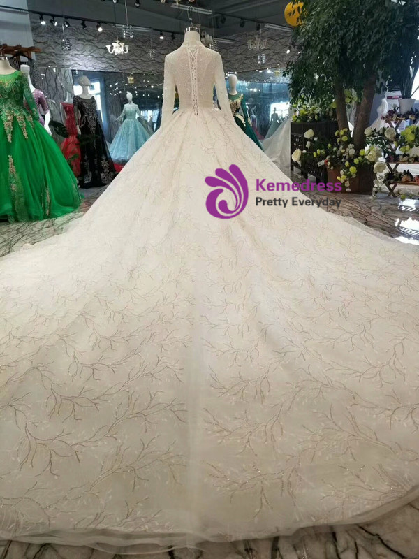 Ball Gown Tulle Lace Sequins V-neck Long Sleeve Wedding Dress With Long Train